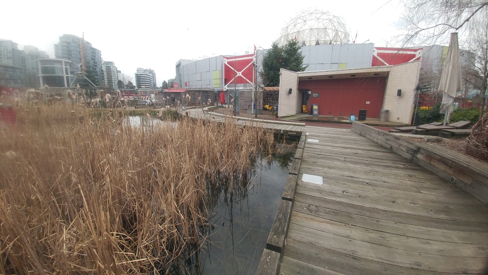 March Break in Vancouver: Seventh Day: Everlasting Science and Adventurous Home Trip