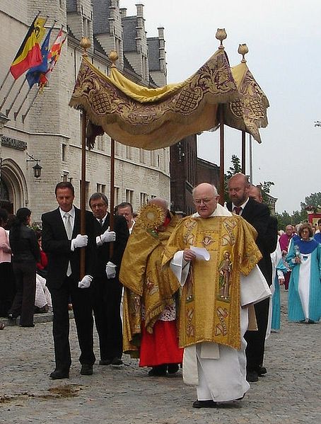 Voile huméral