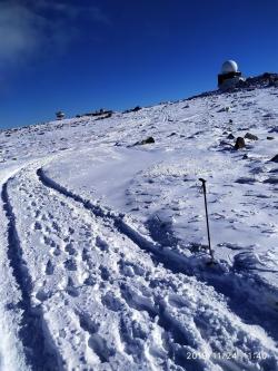 Walk in the snow !