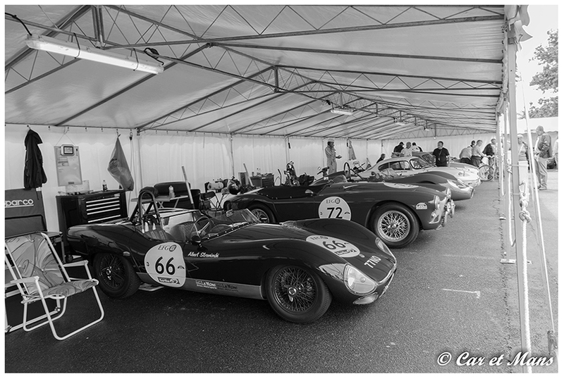 Le Mans Classic 2014 #14