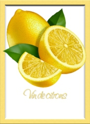 vindecitronsb vindecitronsb