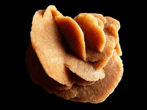 rose des sables