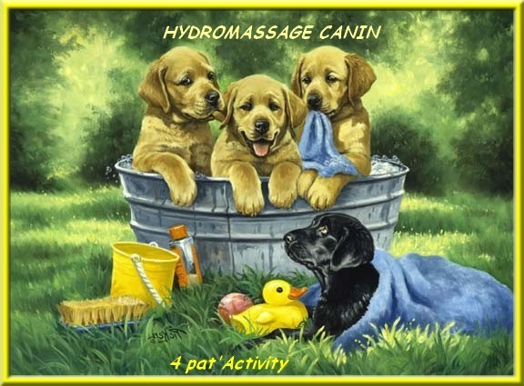 hydromassage-canin.jpg