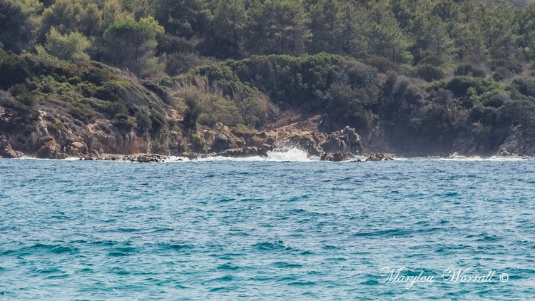 Corse : Serra di Ferro, Retour à Cupabia