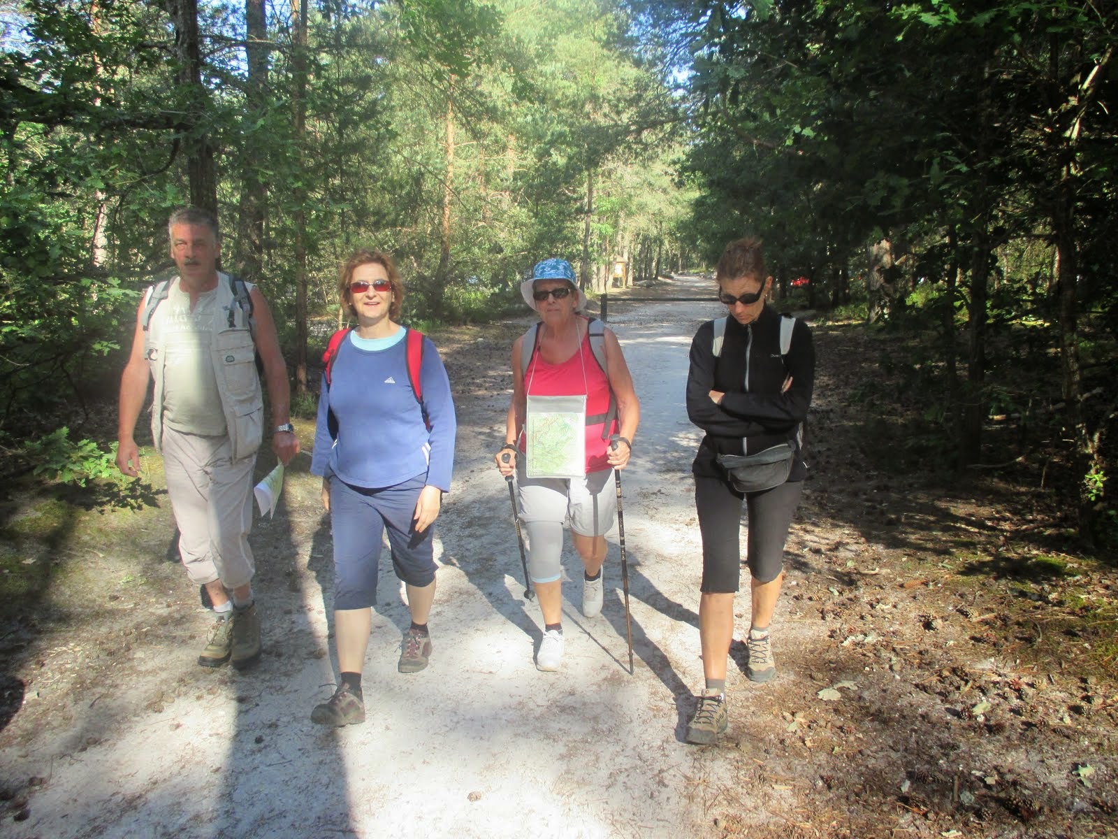randonnee pedestre fontainebleau