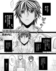 Deux mangas emblématiques du Boy's Love se terminent