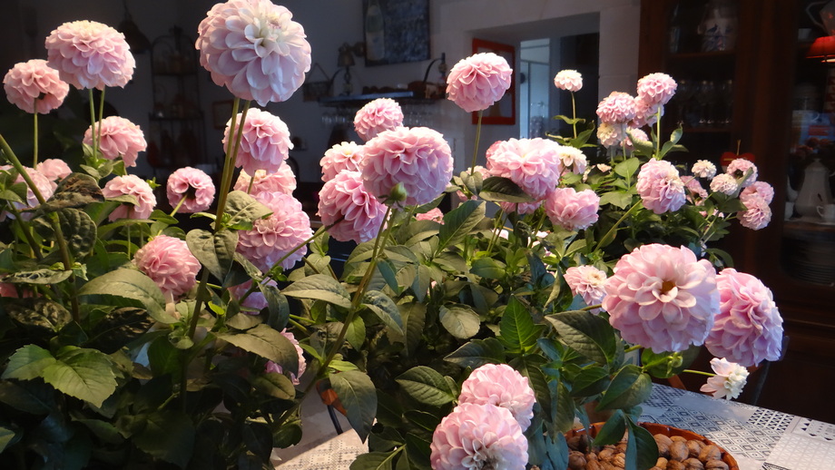 Une Brassée de fleur pour Vous