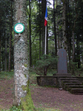 Les crêtes des Vosges 3 de Chatenois à Thann