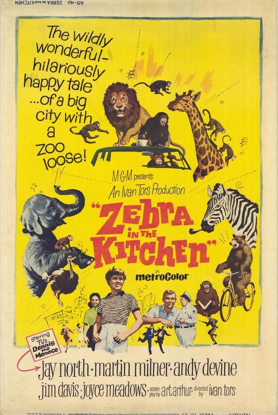 ZEBRA IN THE KITCHEN BOX OFFICE USA 1965