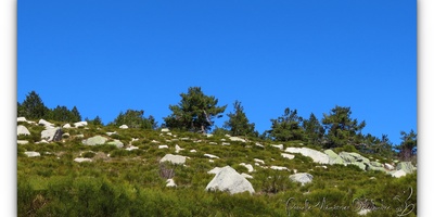 Mont Lozère