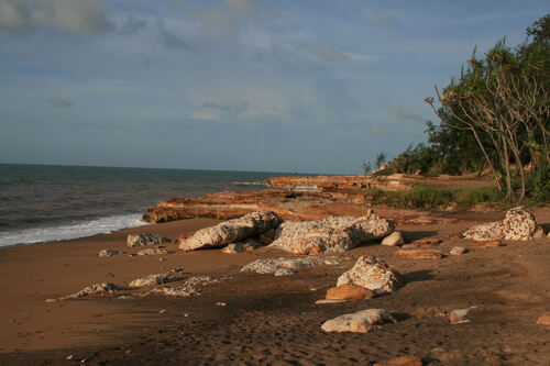 Nightcliff