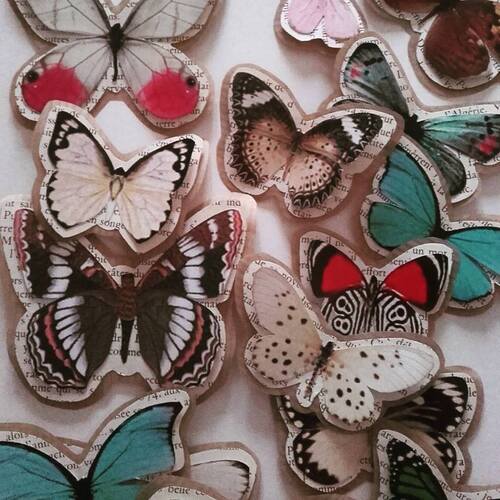 Cadres papillons
