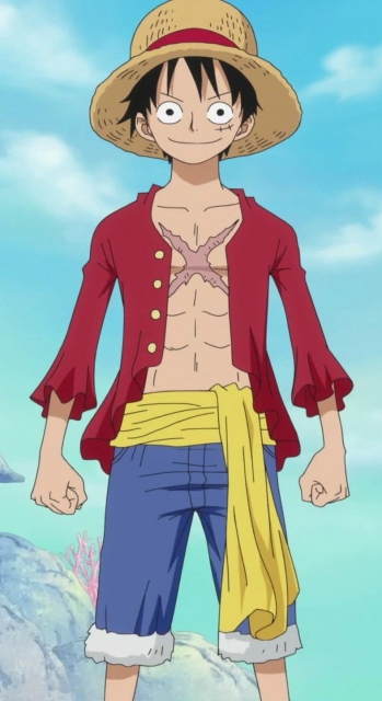 image de luffy 2 ans plus tard