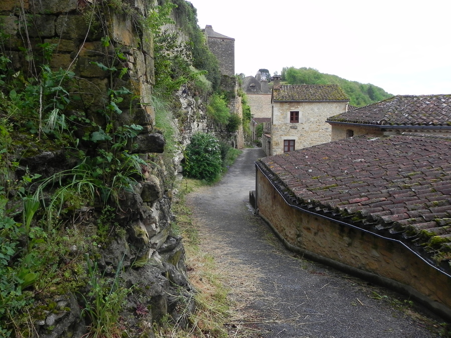 Puy-l'Évêque le château  (2)