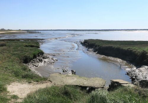 Randonnée sur le Domaine de Certes et Graveyron 