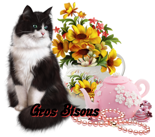 Bon Dimanche Xu1Qi4wEIhd0NS_Tp0UY9QcdQPs