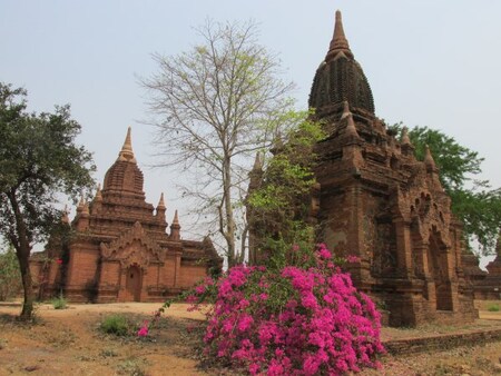 Bagan