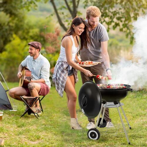 Sunbeam Gas Grill - Buy Electric, Charcoal and Propane Grills At Best Prices