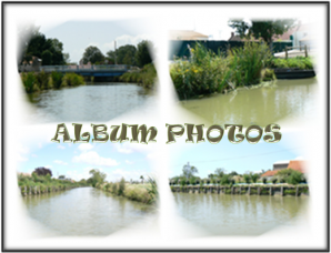 Voir l'album photos