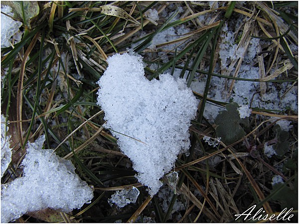 St-Valentin-2012-neige.jpg