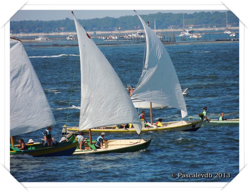 Arcachon - Fêtes de la mer 2013 - 4/4