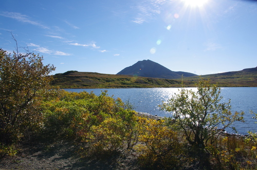 Jour 7 - Nome, Kangarok road