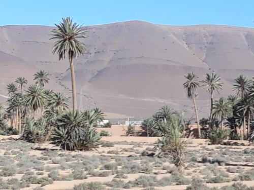 Oasis de Tighmert