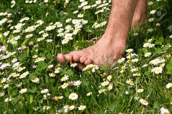 28078051-Walking-barefoot-through-a-meadow-full-of-flowers-Stock-Photo