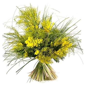 bouquet-mimosa-bouquet-seul-3093-406