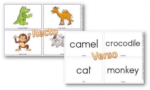 Anglais - Flashcards animals