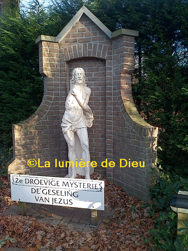 Dadizele : Basilique Notre-Dame de l'Immaculée Conception