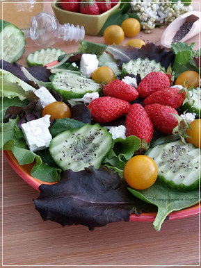 SALADE MULTICOLORE