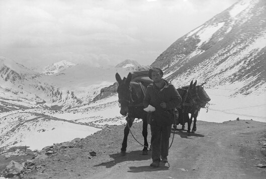 * Etape n° 50 - Alpes Maritimes - 27 Avril-8 Mai 1945 - Descente de la DFL en ITALIE - le B.M. 5 dans le Mentonnais