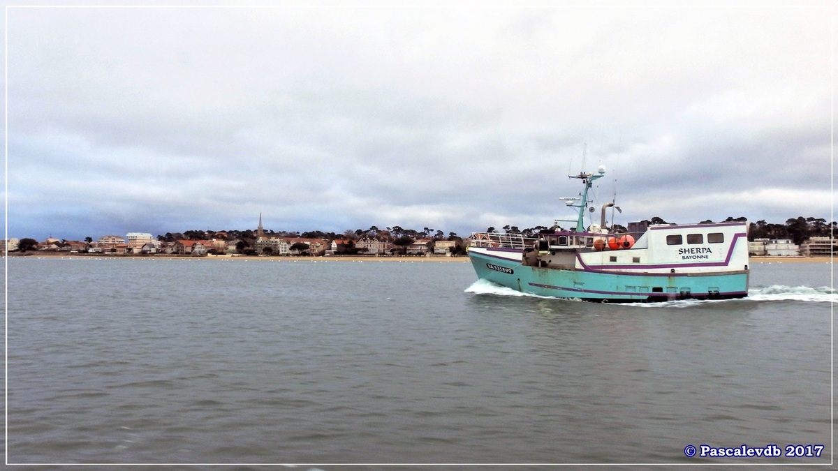 Traversée du Bassin entre Arcachon et le Cap Ferret - 12/14