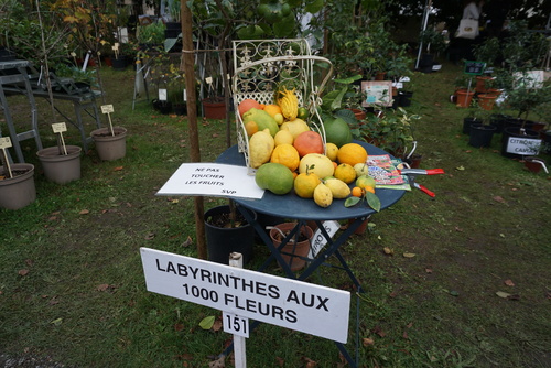 Une belle édition d'automne à St Jean de B