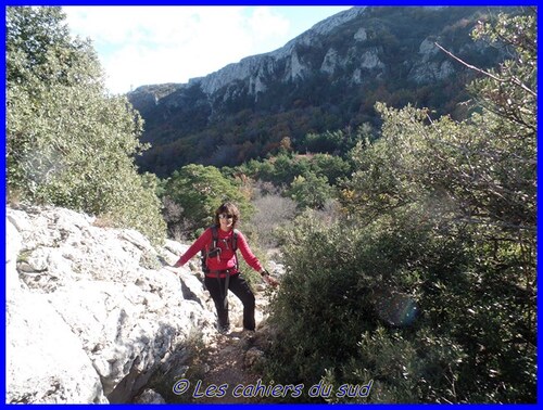 Ste Baume, les dents de Roque Forcade