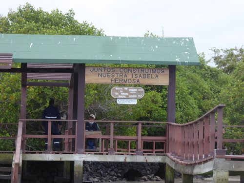 13 ème jour Santa Cruz , changement d’île, direction celle d' Isabela 