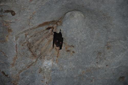 Dimanche 14 juillet Bad day