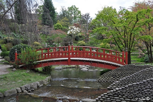 jardins Albert Kahn