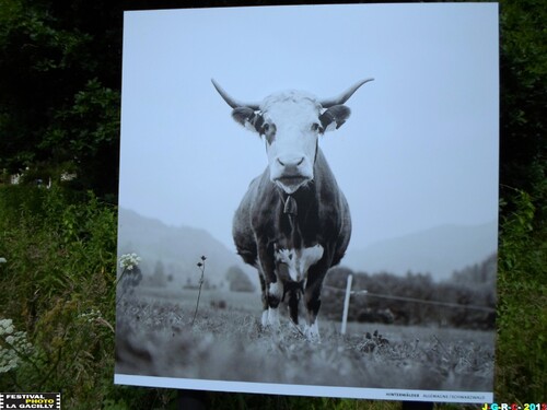 EXPOSITION PHOTO 2013 LA GACILLY 56 28/09/2013