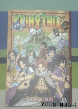 Fairy Tail - tome 24