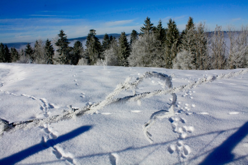 Neige et soleil dans le Haut-Doubs, 1