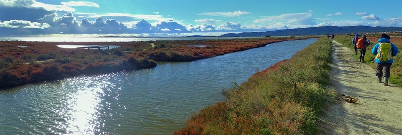 Les salines de Villeneuve lés Maguelone