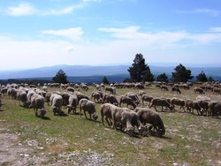  Le Ventoux...!!!