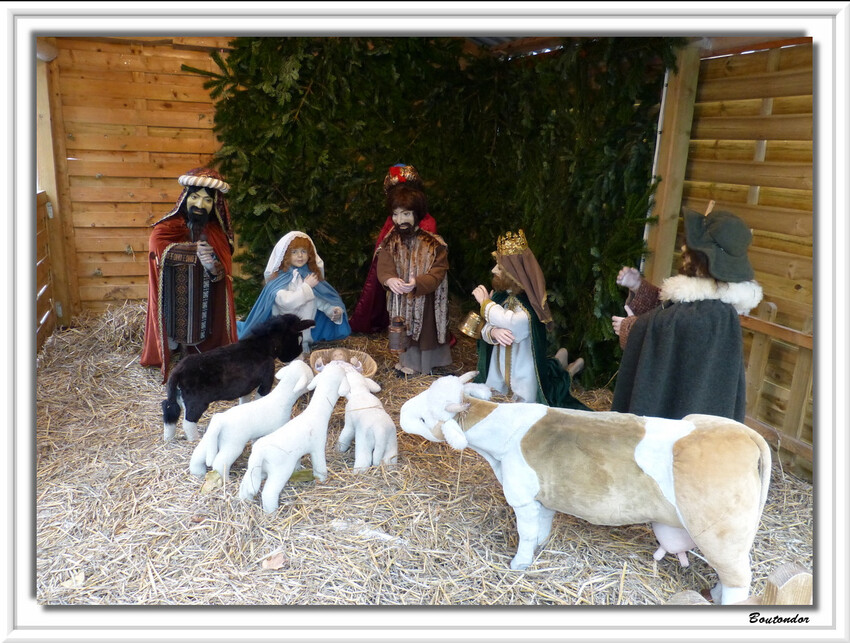 Colmar : Marché de noel 1