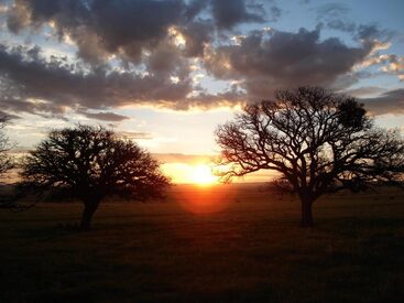 Résultat de recherche d'images pour "ciel avec lumière qui transperce"