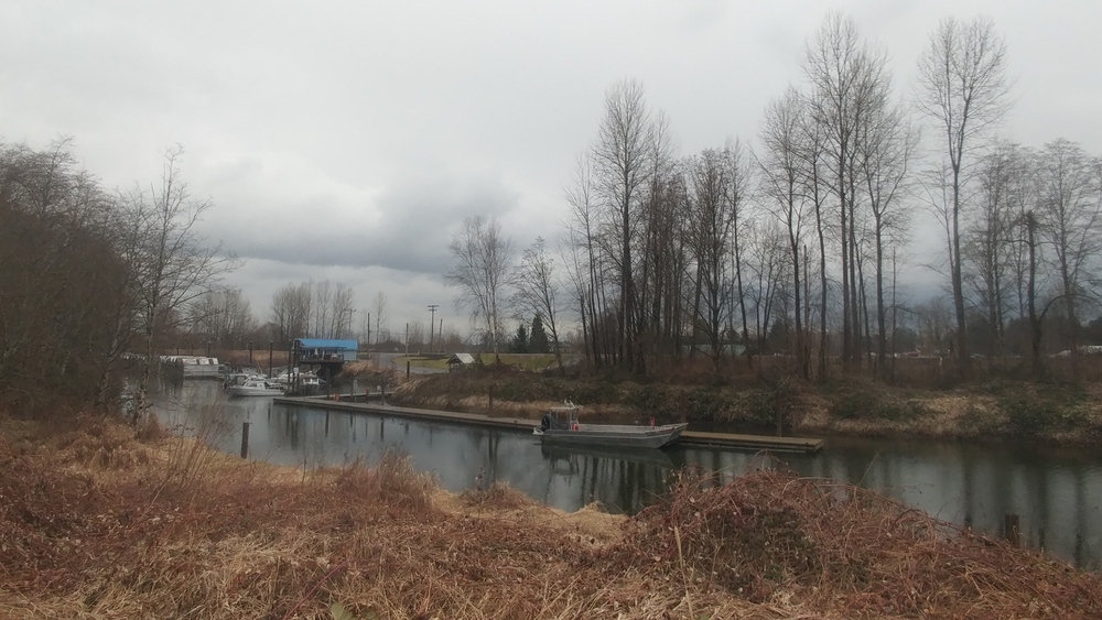 March Break in Vancouver: Fifth Day: Minnekhada Marshland Miles