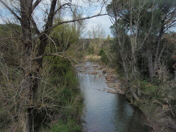 Le ruisseau de Belleïman vu du pont