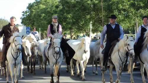 Centaure et Transhumance à Cabasse (Miramas)