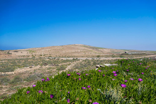 Aglou Plage et son village des pêcheurs